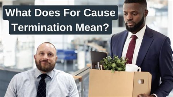 What does termination for cause mean?