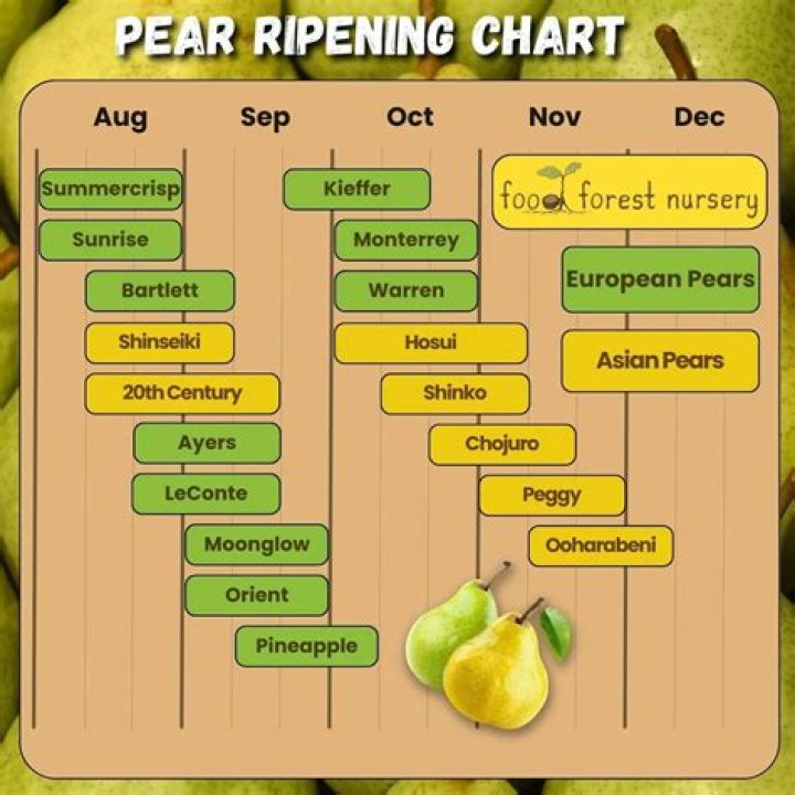 What does the pear symbolize?