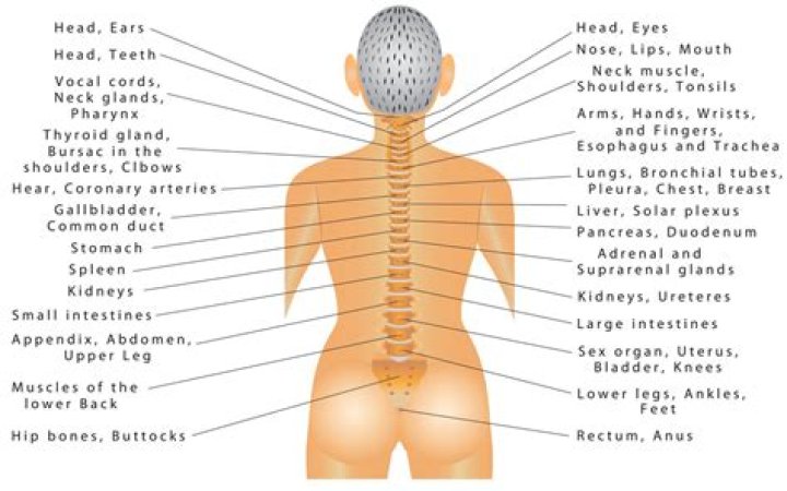 What emotion is stored in the upper back?