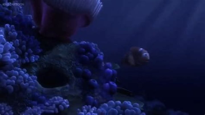 What fish killed Coral in Finding Nemo?