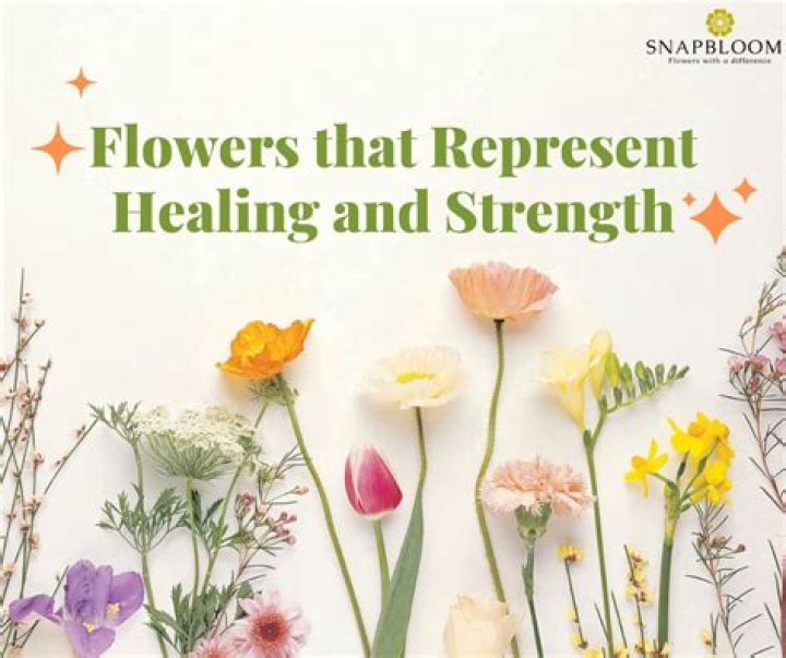 What flower represents healing and growth?