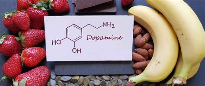 What food has the most dopamine?
