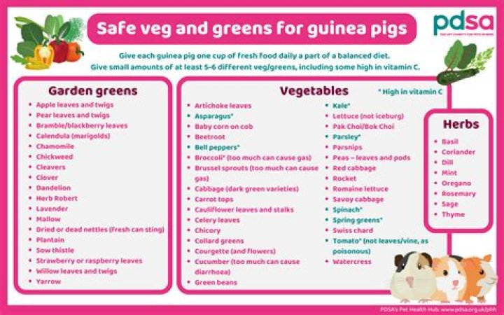 What foods are poisonous to guinea pigs?