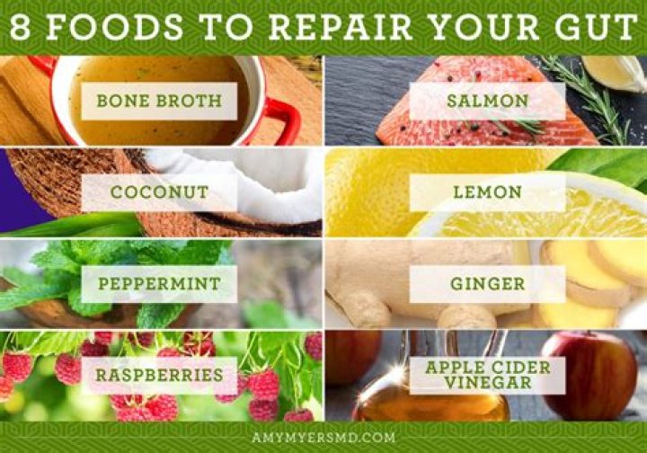 What foods repair gut health?