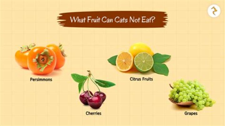 What fruit can cats not eat?