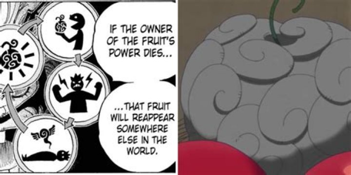 What fruit did Zoro eat?