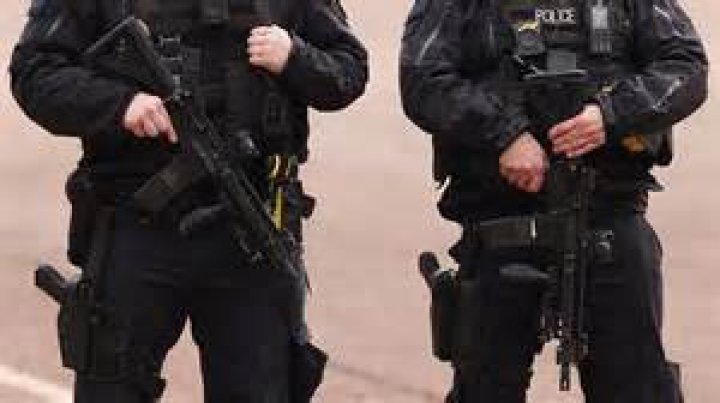 What guns do Russian police carry?