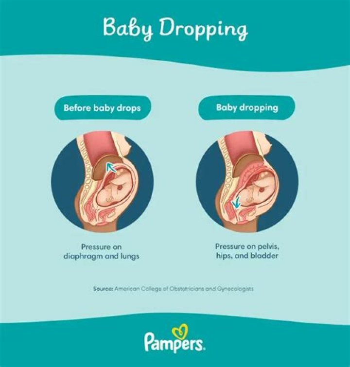 What happens if baby drops at 30 weeks?