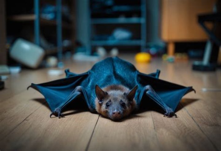 What happens if bat dies in home?
