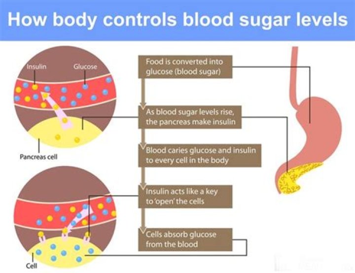 What happens if blood sugar gets too low while sleeping?