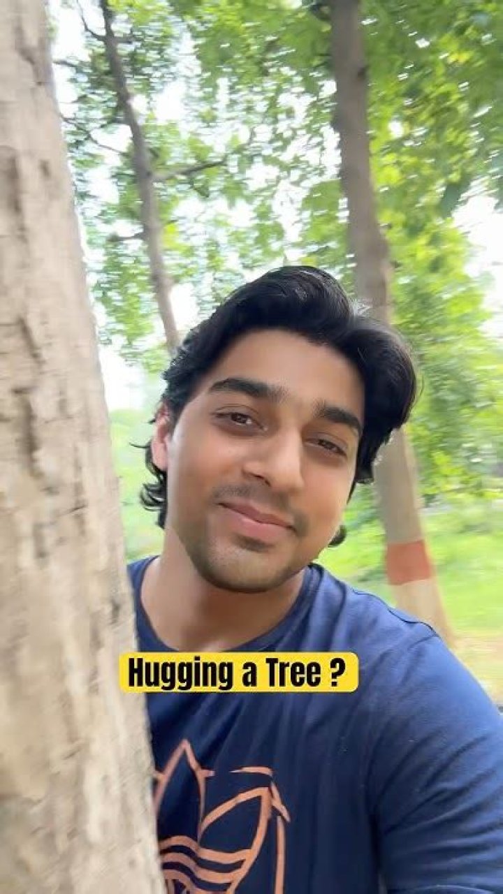 What happens when you hug a tree?