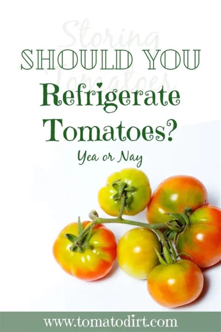 What happens when you refrigerate tomatoes?