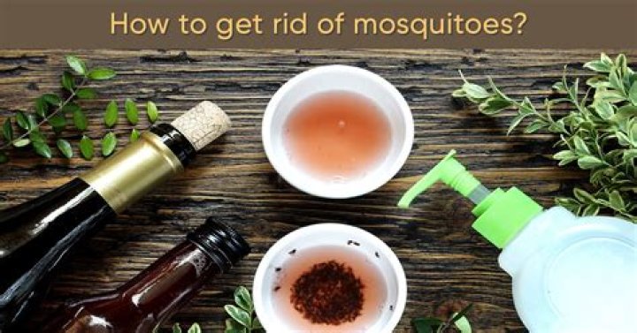 What home remedy kills mosquitoes in yard?