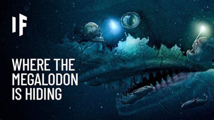 What if the megalodon was hiding in the Mariana Trench?