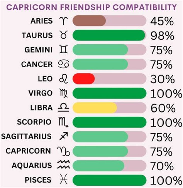 What is a Capricorns best friend?