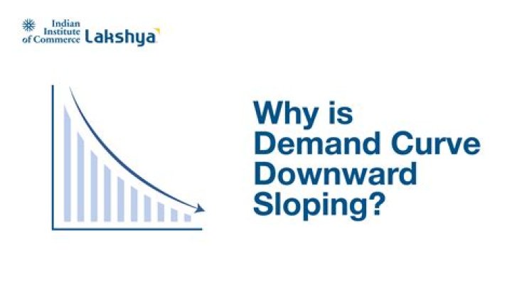 What is a demand curve look like?