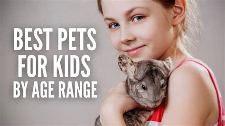 What is a good pet for a 6 year old?