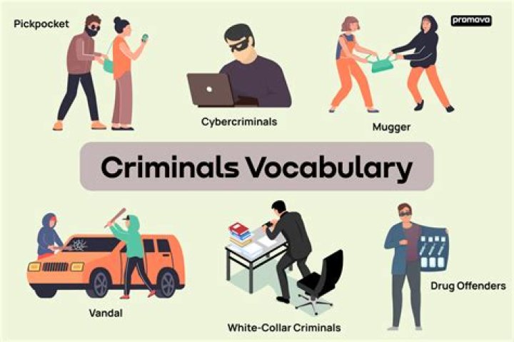 What is a group of criminals called?