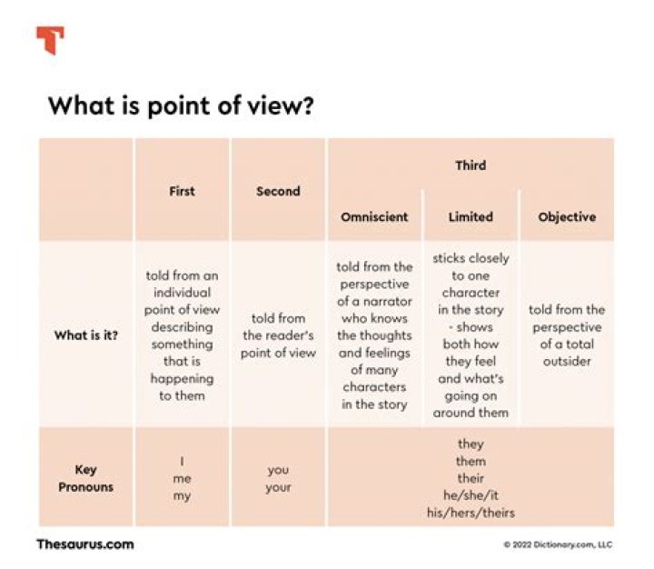 What is a point of view essay?