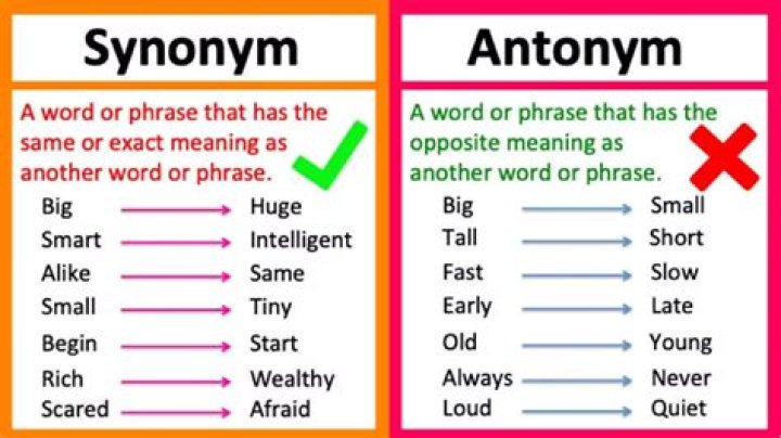 What is a synonym and antonym for pauper?