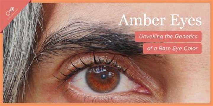What is amber eye color?