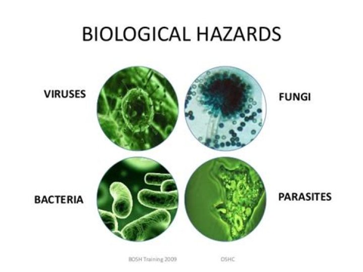 What is an example of a biological hazard norovirus?