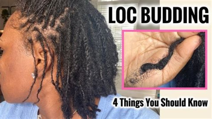 What is budding in locs?