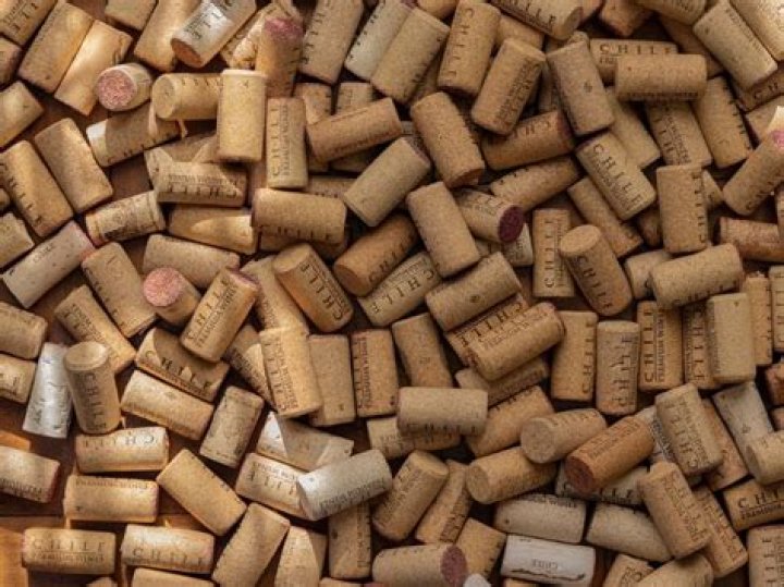 What is cork made of?