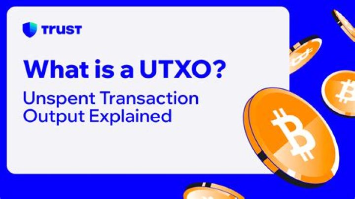 What is input and output in Bitcoin transaction?