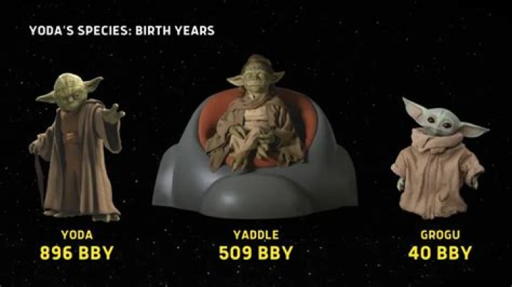 What is Master Yoda's species?