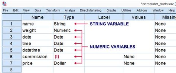 What is numeric variable?