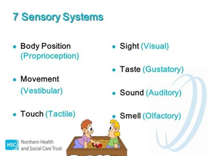What is our sixth sense?