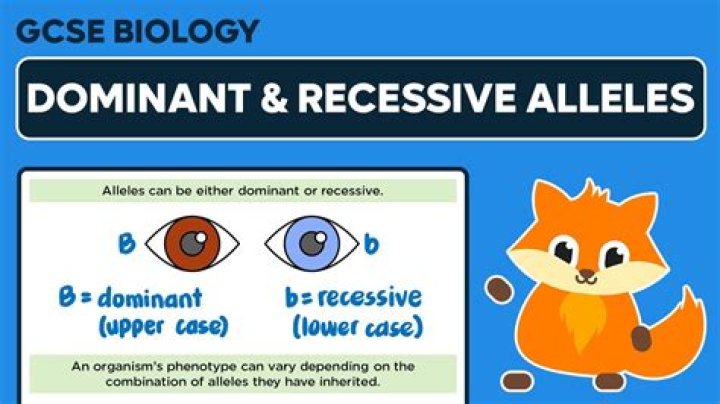 What is recessive bilingual?