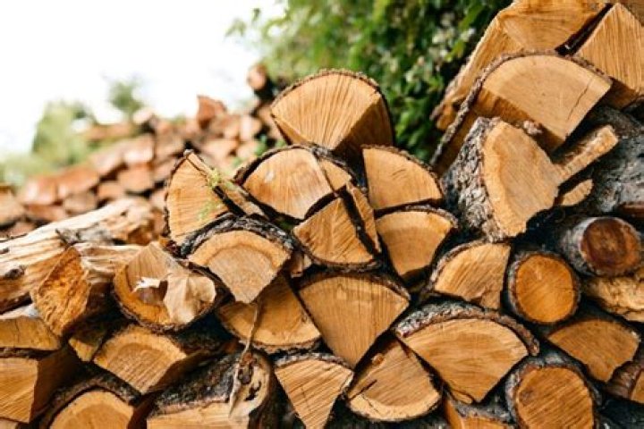 What is the best and worst firewood?