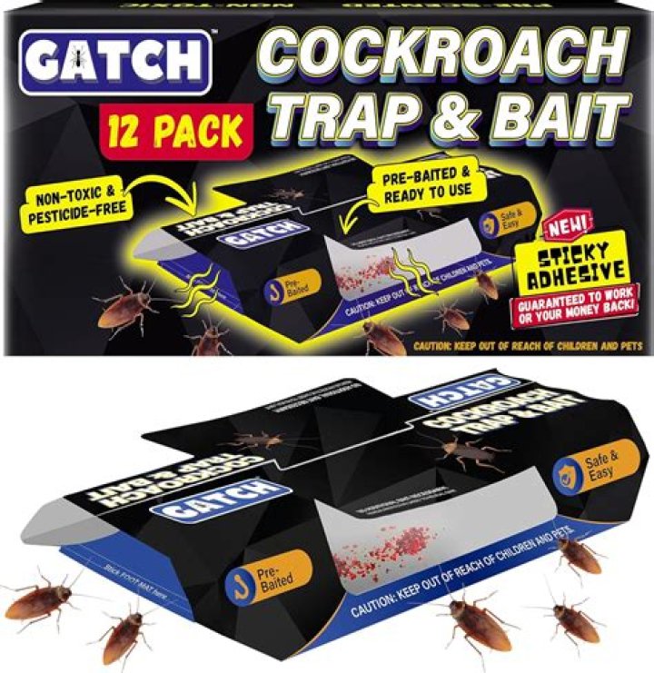 What is the best cockroach killer?