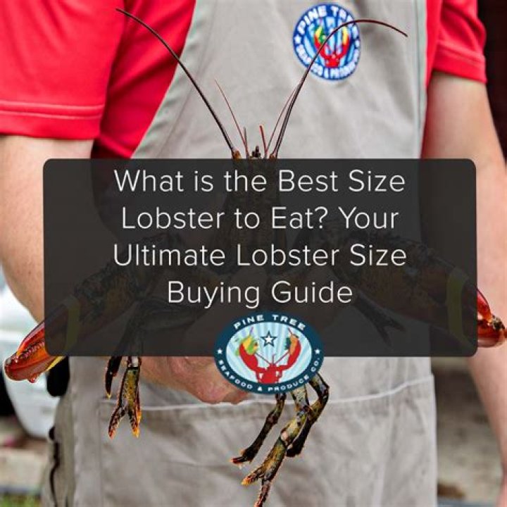 What is the best lobster to eat?