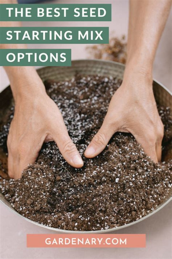 What is the best seed starting mix?