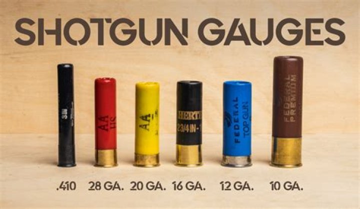 What is the biggest gauge shotgun you can get?