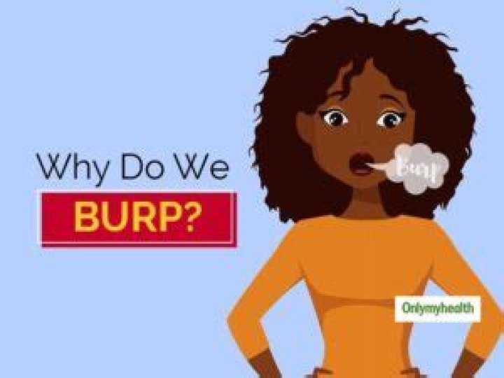 What is the difference between a burp and a belch?