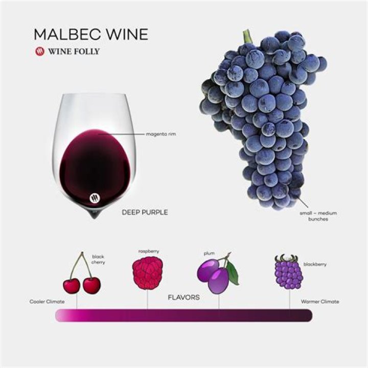 What is the difference between Malbec and red wine?