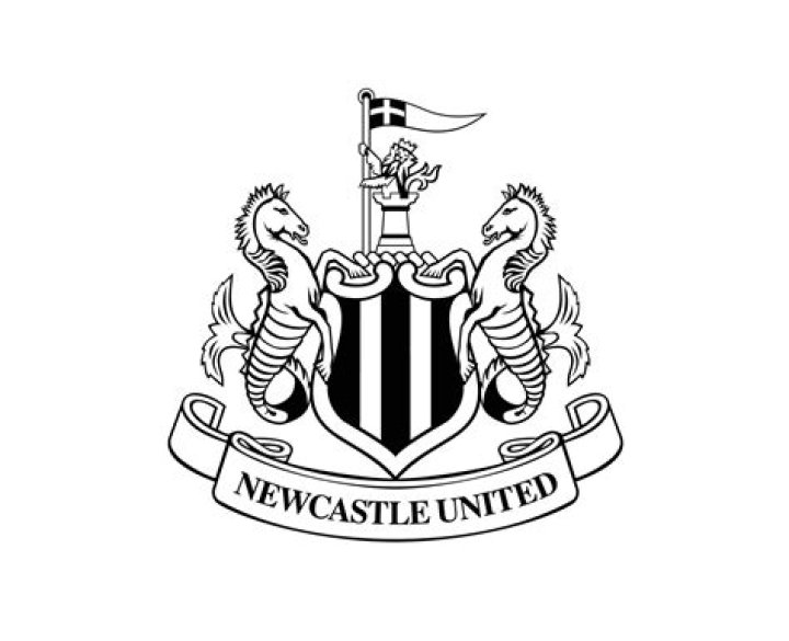What is the flag on the Newcastle crest?