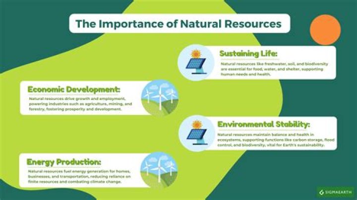 What is the importance of natural resources and environmental management?