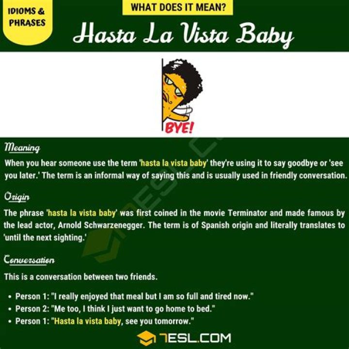What is the meaning of hasta la vista baby?
