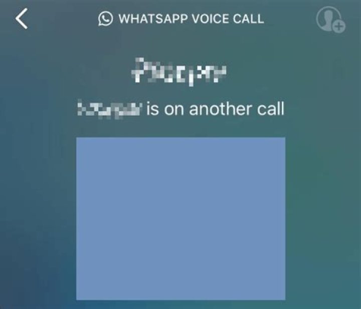 What is the meaning of on another call?