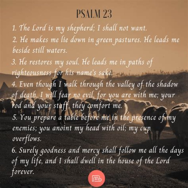 What is the meaning of psalm 31?