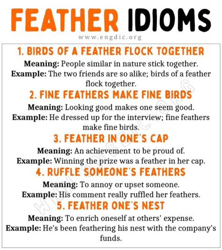 What is the meaning of the idiom feather in one's cap?