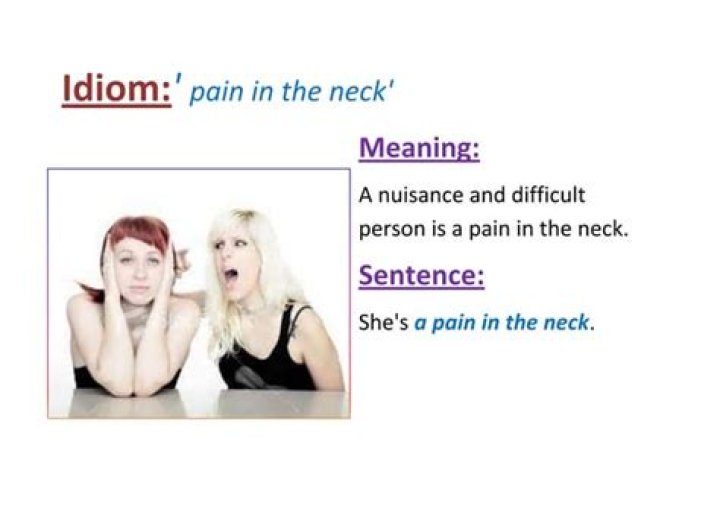 What is the meaning of the idiom pain in the neck?