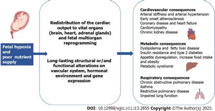 What is the most common cause of necrosis?