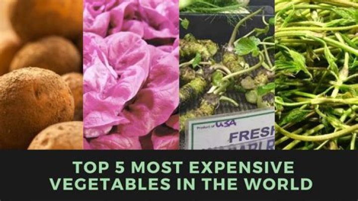 What is the most expensive vegetable in the world?