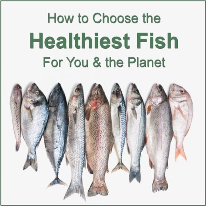 What is the most healthiest fish you can eat?
